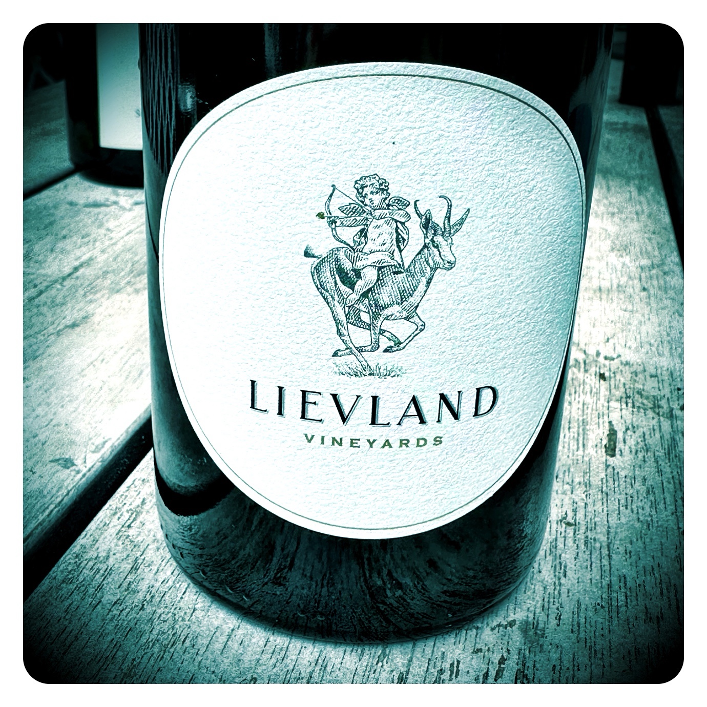The Beginning of a New Era for Lievland Vineyards – Tasting and